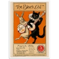 Book Cover Poster - The Black Cat